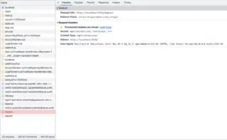 Das Network Tab der Chrome Developer-Konsole zeigt einen fehlgeschlagenen Preflight-Request ohne Response